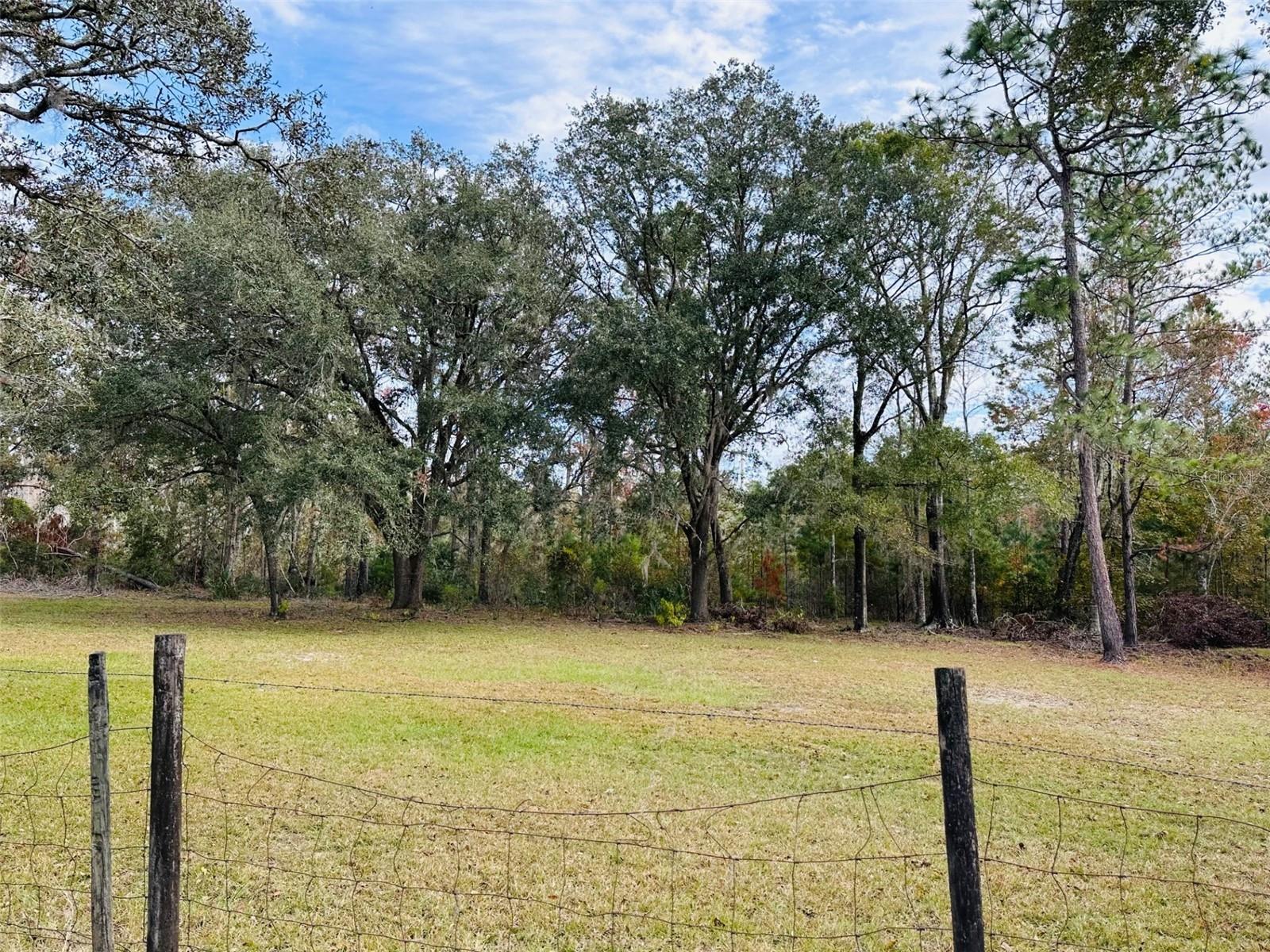 Image 5 of 42 For 12468 Hwy 349