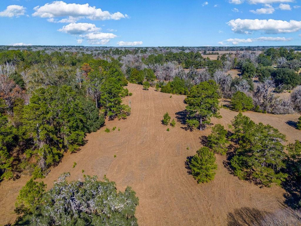 Image 12 of 19 For Tbd 99th Avenue