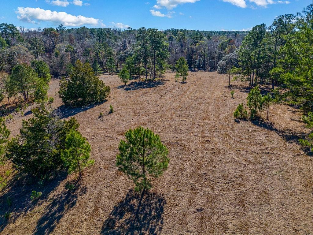 Image 13 of 19 For Tbd 99th Avenue