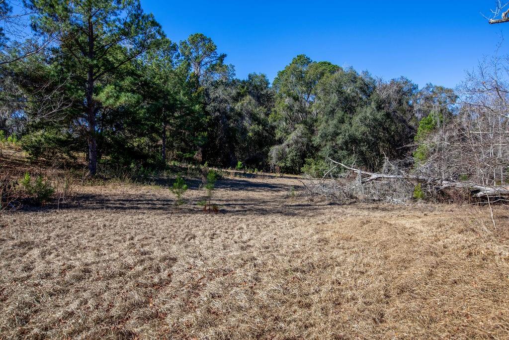 Image 17 of 19 For Tbd 99th Avenue