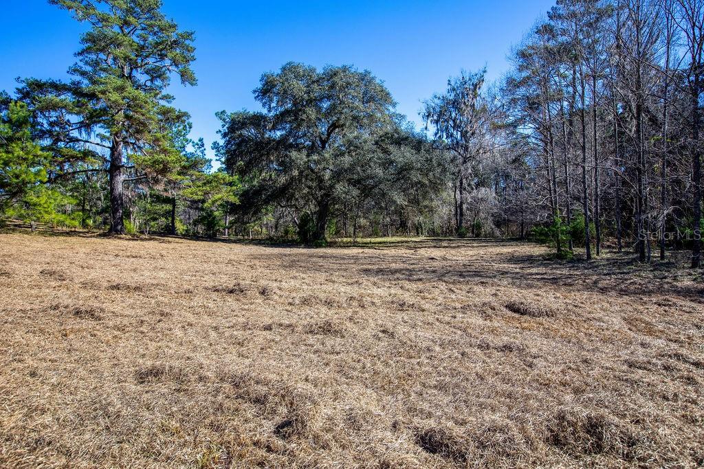 Image 18 of 19 For Tbd 99th Avenue