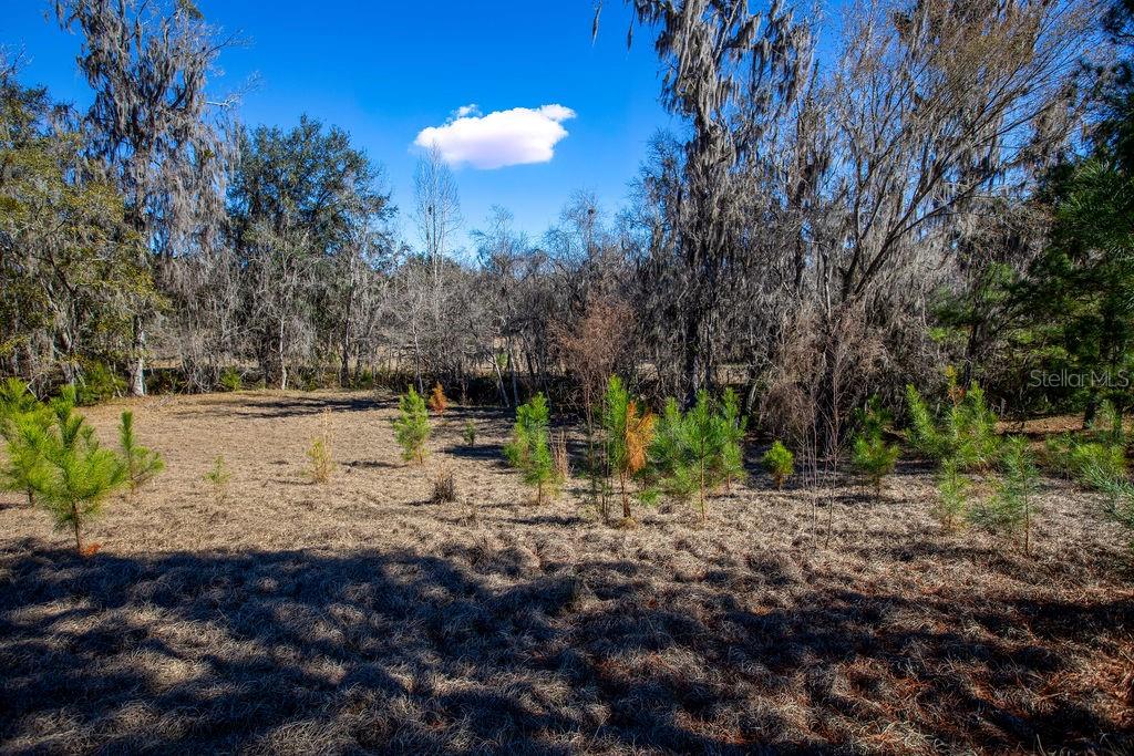 Image 19 of 19 For Tbd 99th Avenue