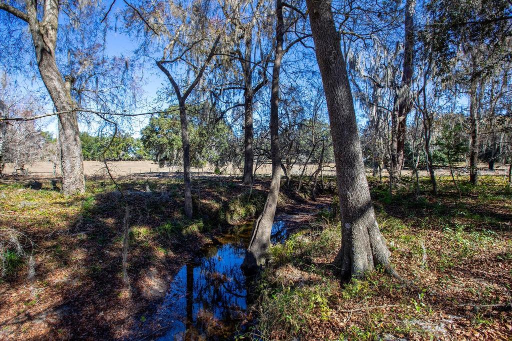 Image 6 of 19 For Tbd 99th Avenue