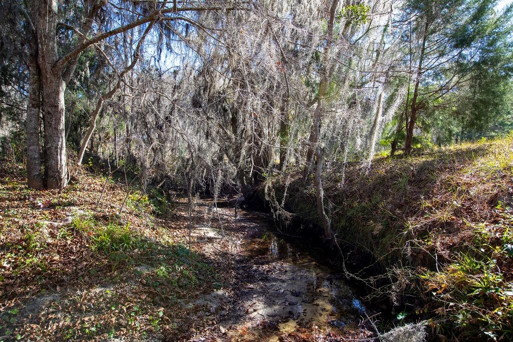 Image 7 of 19 For Tbd 99th Avenue