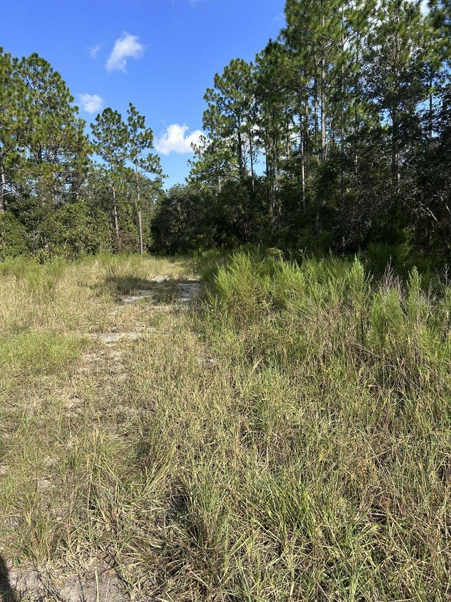 Image 4 of 6 For  103 Lee Dr  