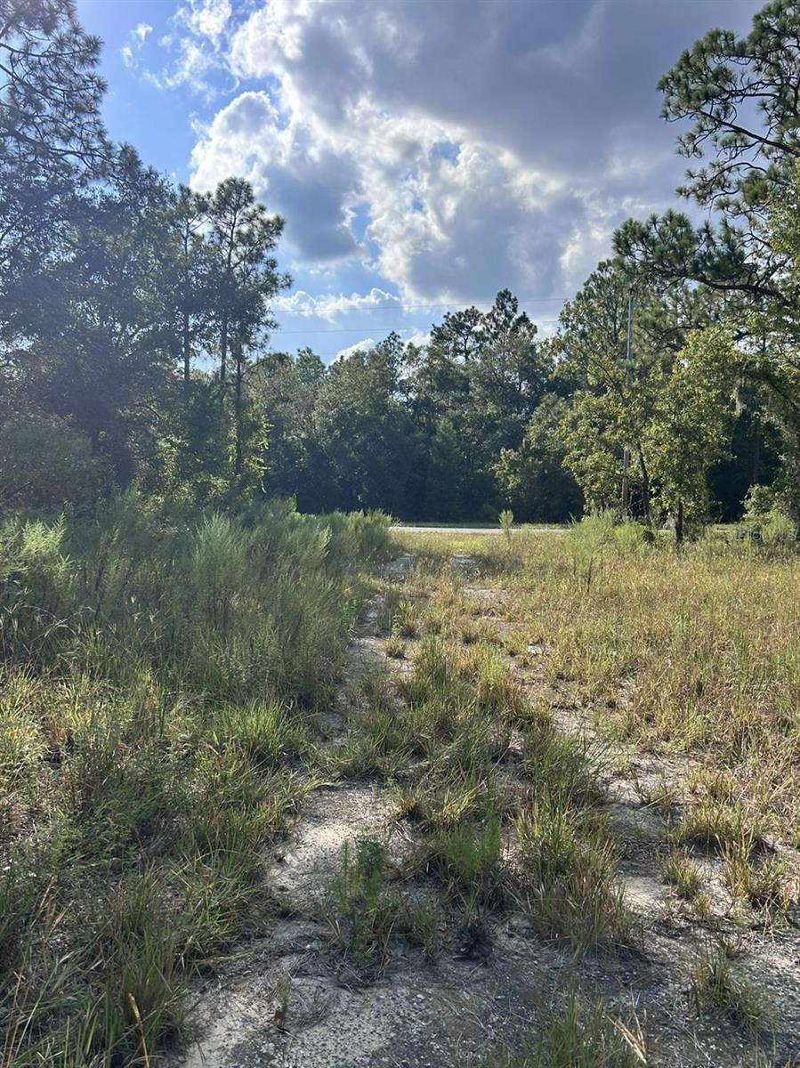 Image 6 of 6 For  103 Lee Dr  