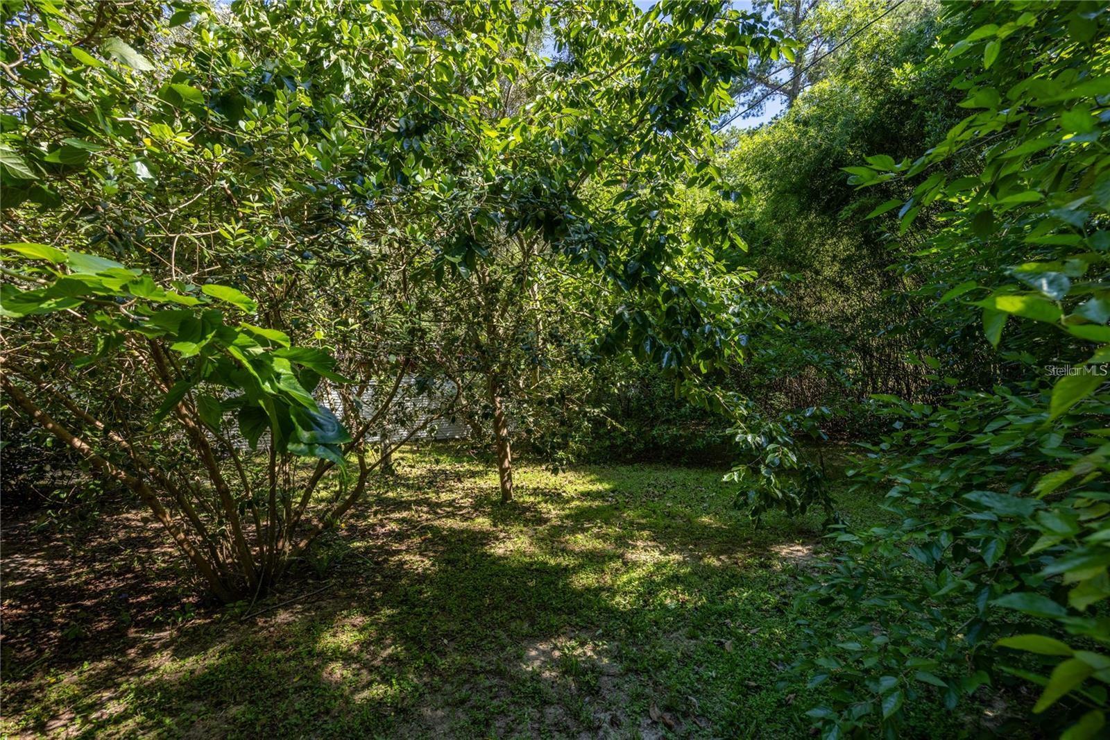 Listing photo id 68 for 415 32nd Street