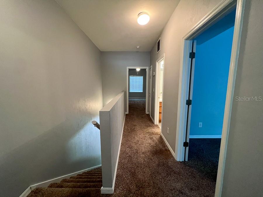 Image 29 of 33 For 5048 1st Place