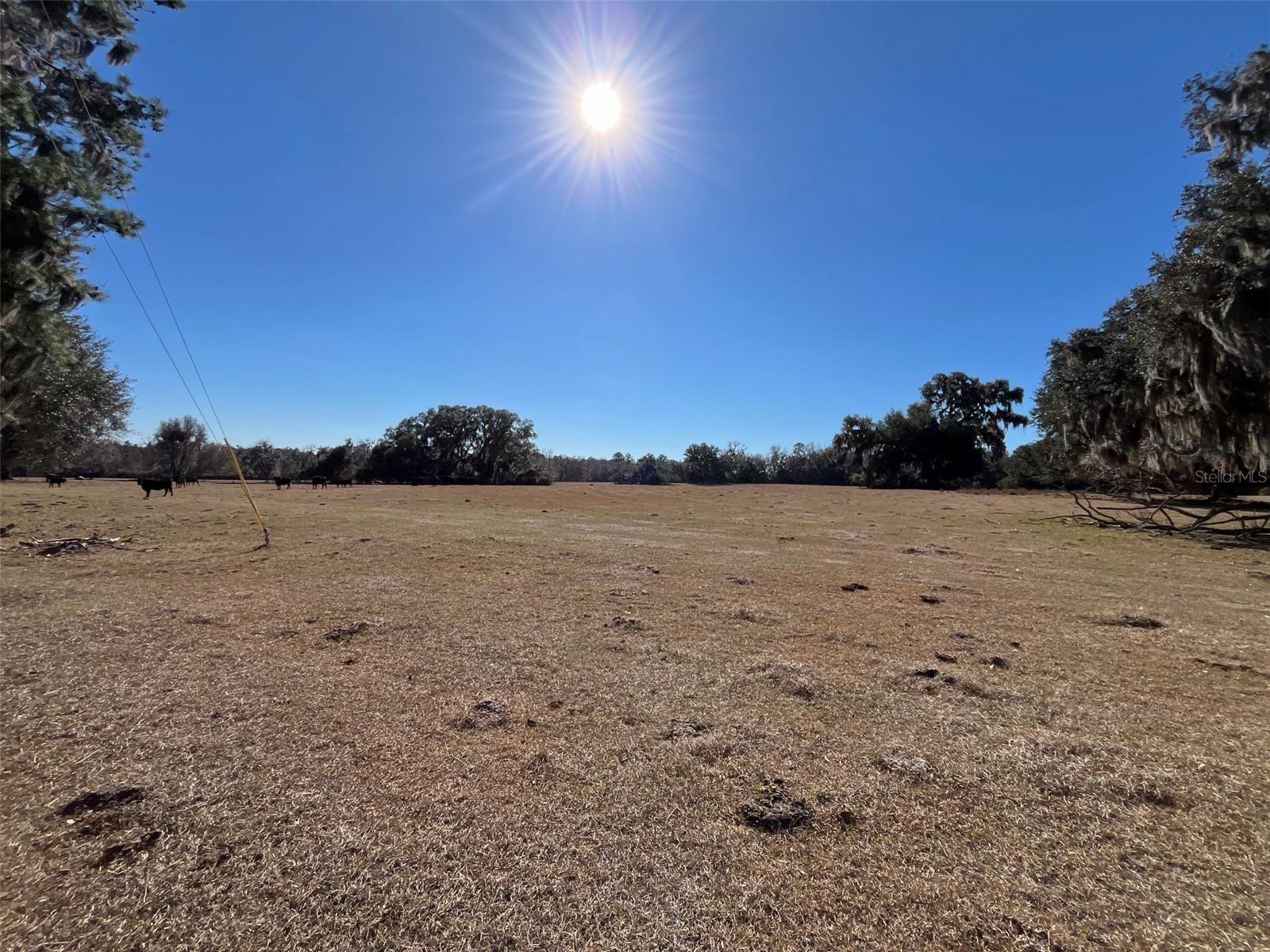 Image 6 of 6 For Tbd Hwy 329  