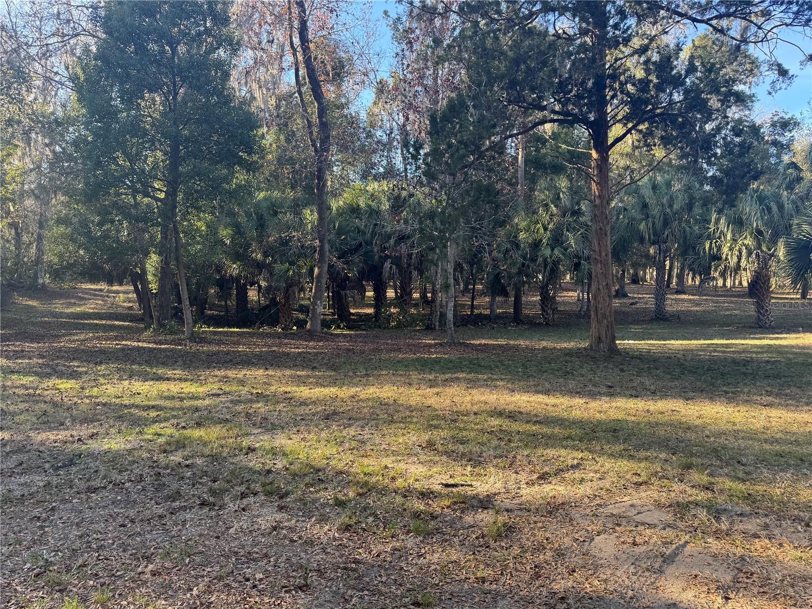 Image 23 of 52 For 1085 State Road 100