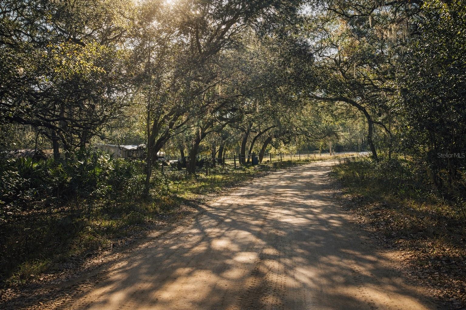 Details for 202 Mimosa Drive, HAWTHORNE, FL 32640