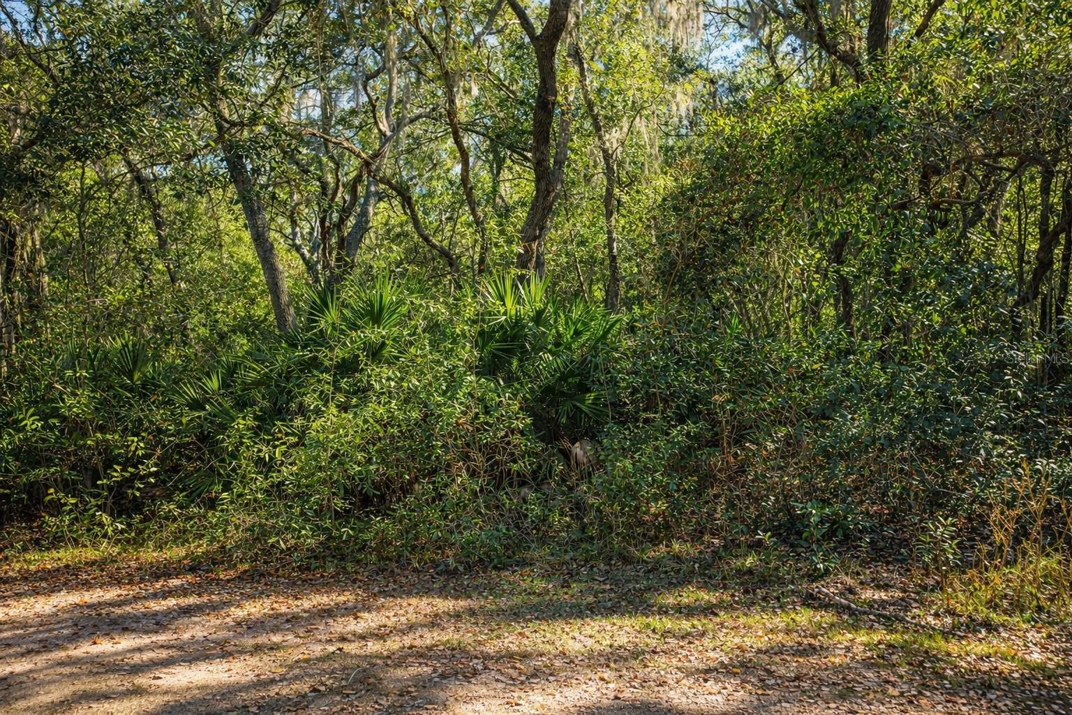 Image 3 of 10 For 202 Mimosa Drive