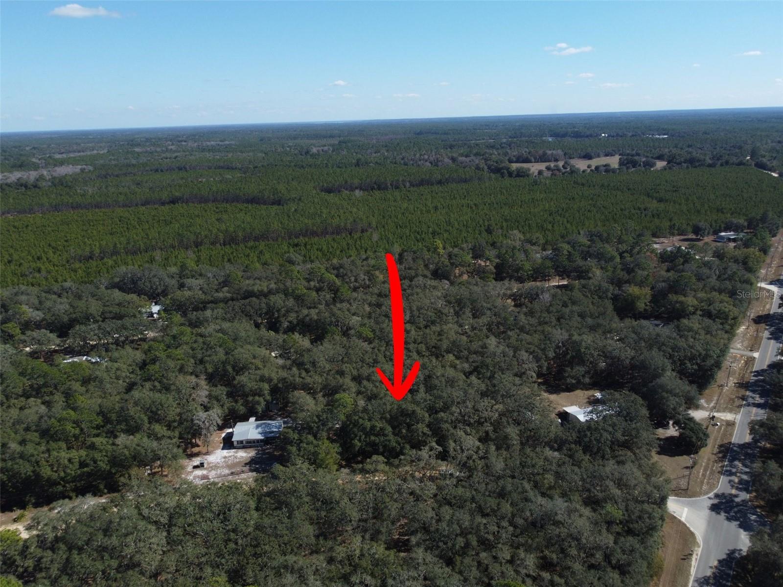 Image 7 of 10 For 202 Mimosa Drive