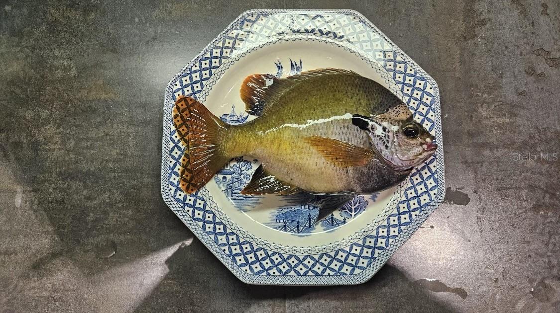 Image 12 of 76 For 127 930 Street