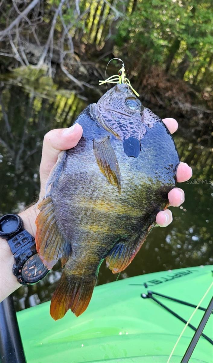 Image 3 of 76 For 127 930 Street