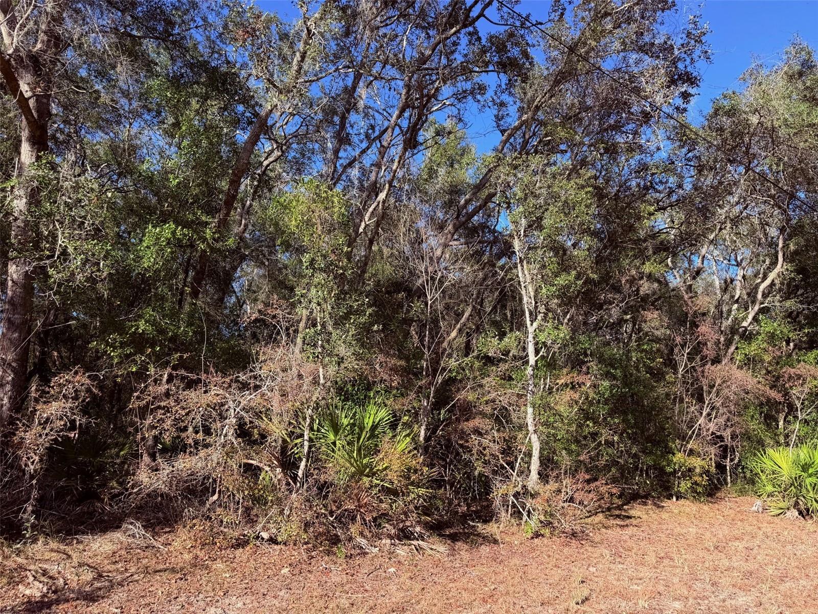 Image 43 of 76 For 127 930 Street