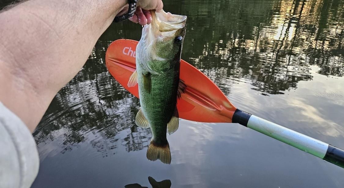 Image 48 of 76 For 127 930 Street