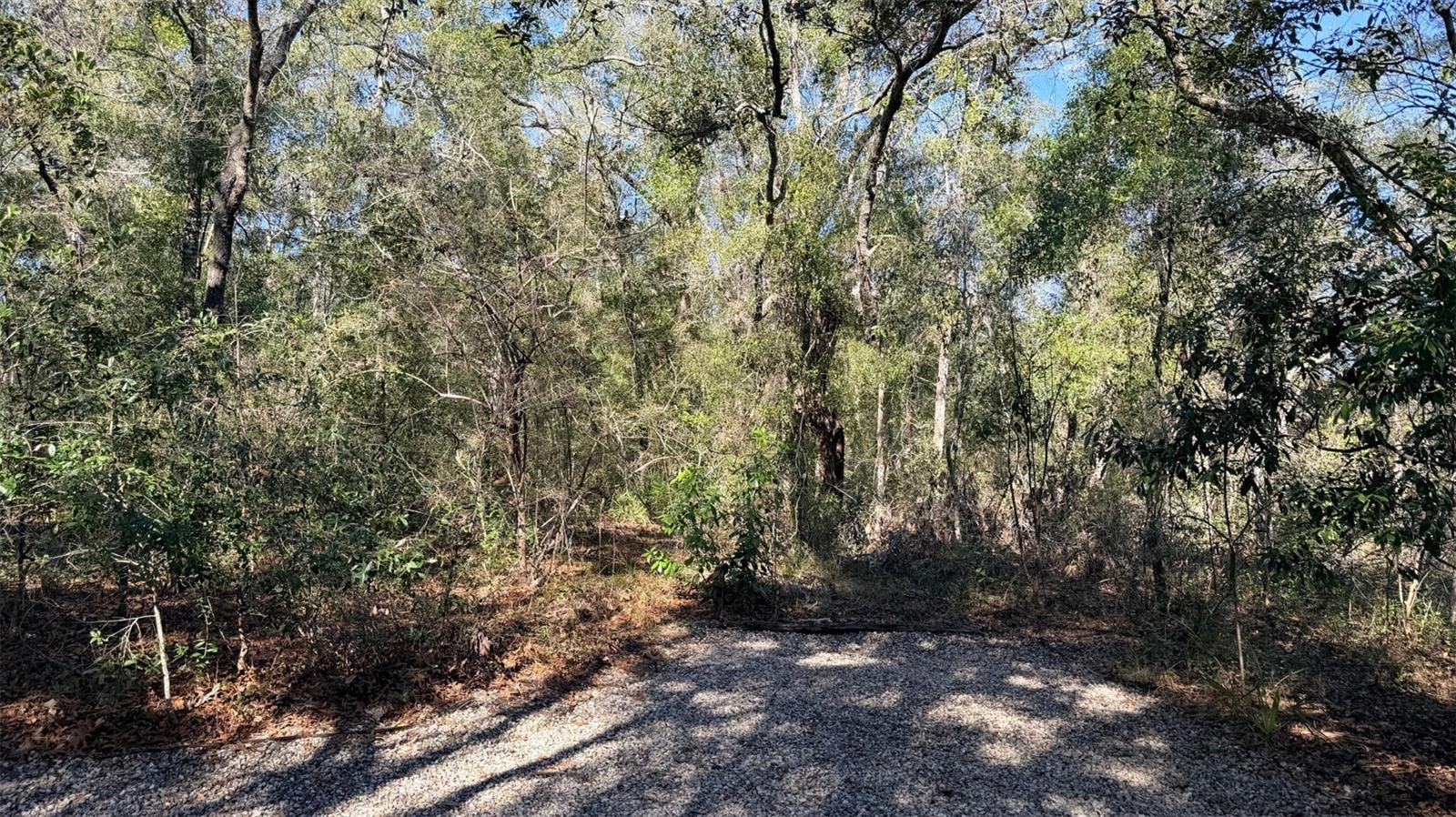 Image 55 of 76 For 127 930 Street