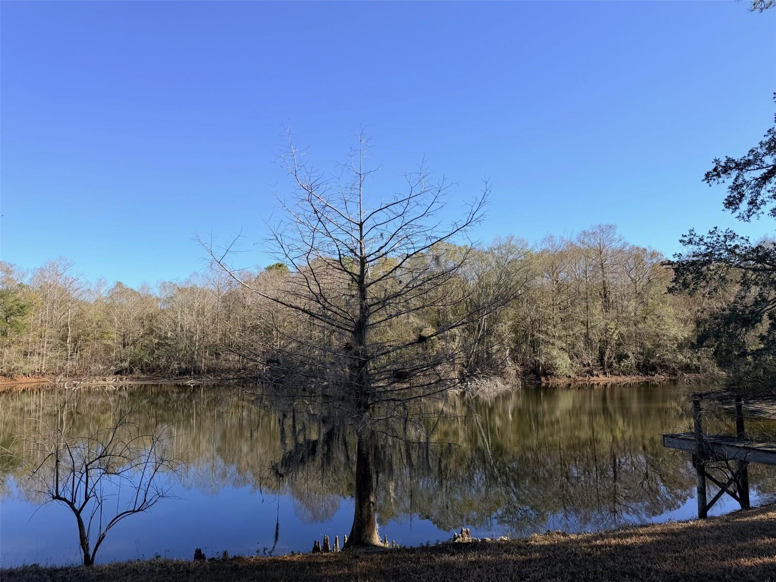 Image 67 of 76 For 127 930 Street