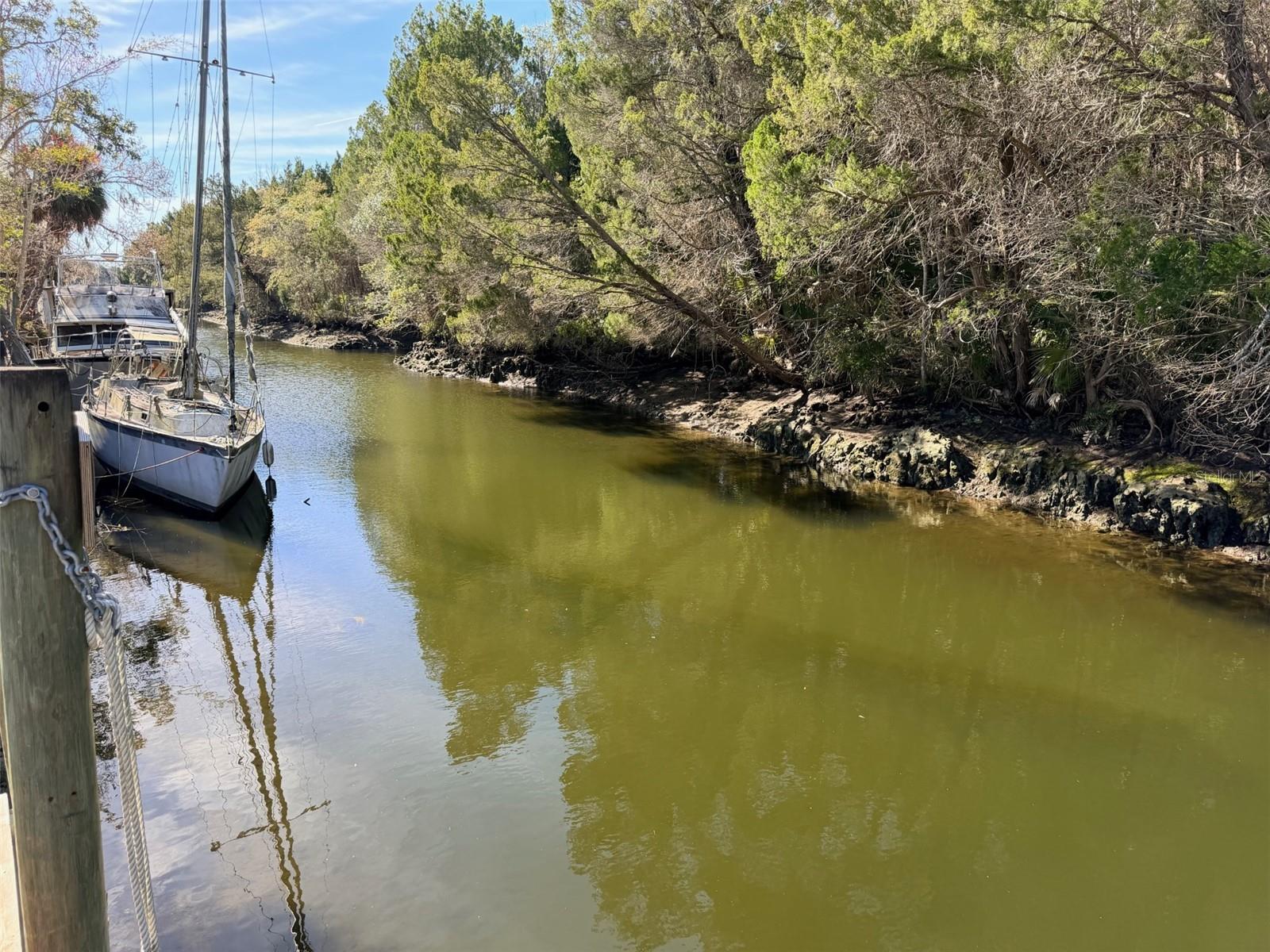 Image 40 of 44 For 12 Palm Drive