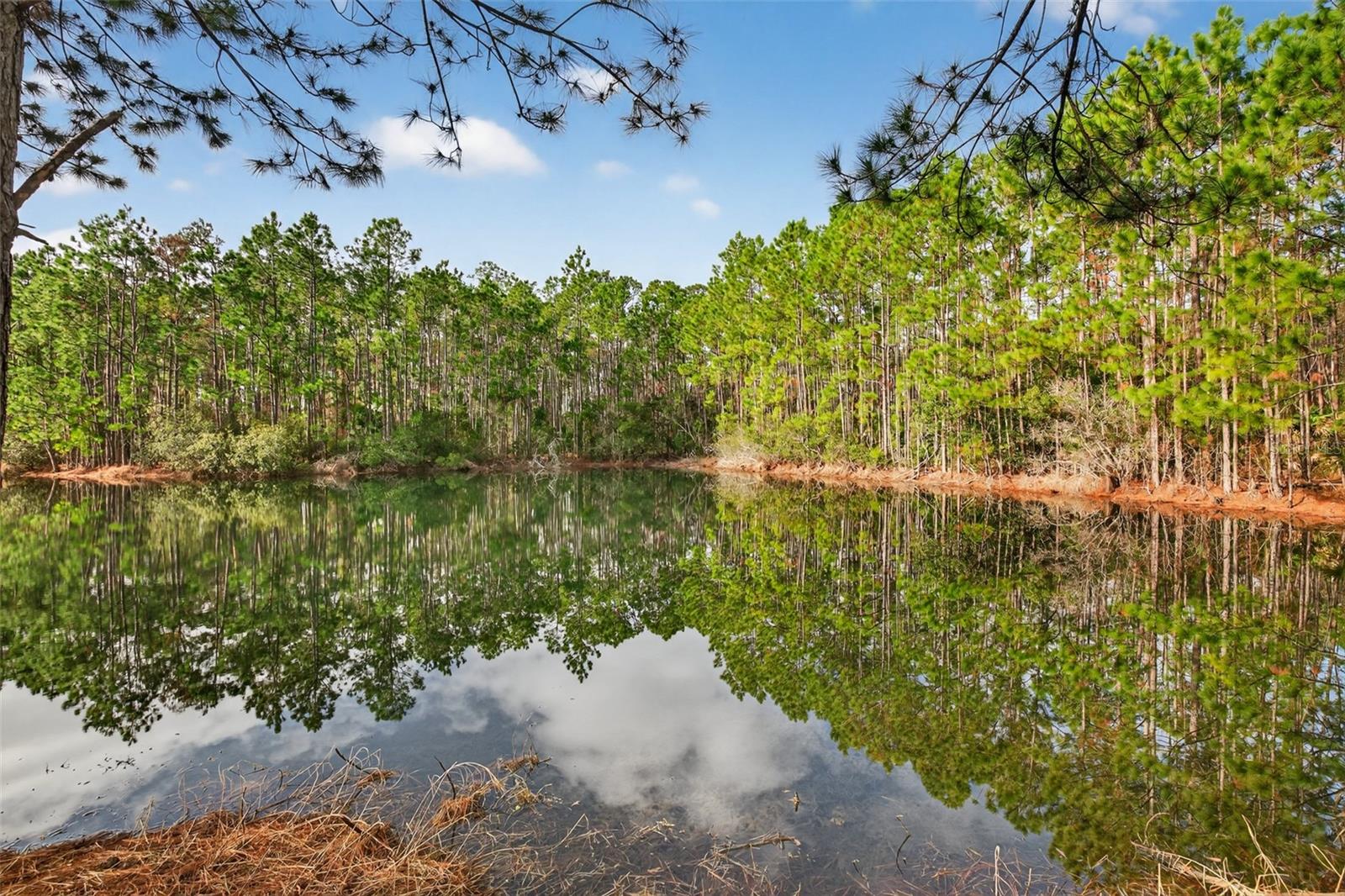 Image 24 of 77 For 1004 Kilkenny Lane