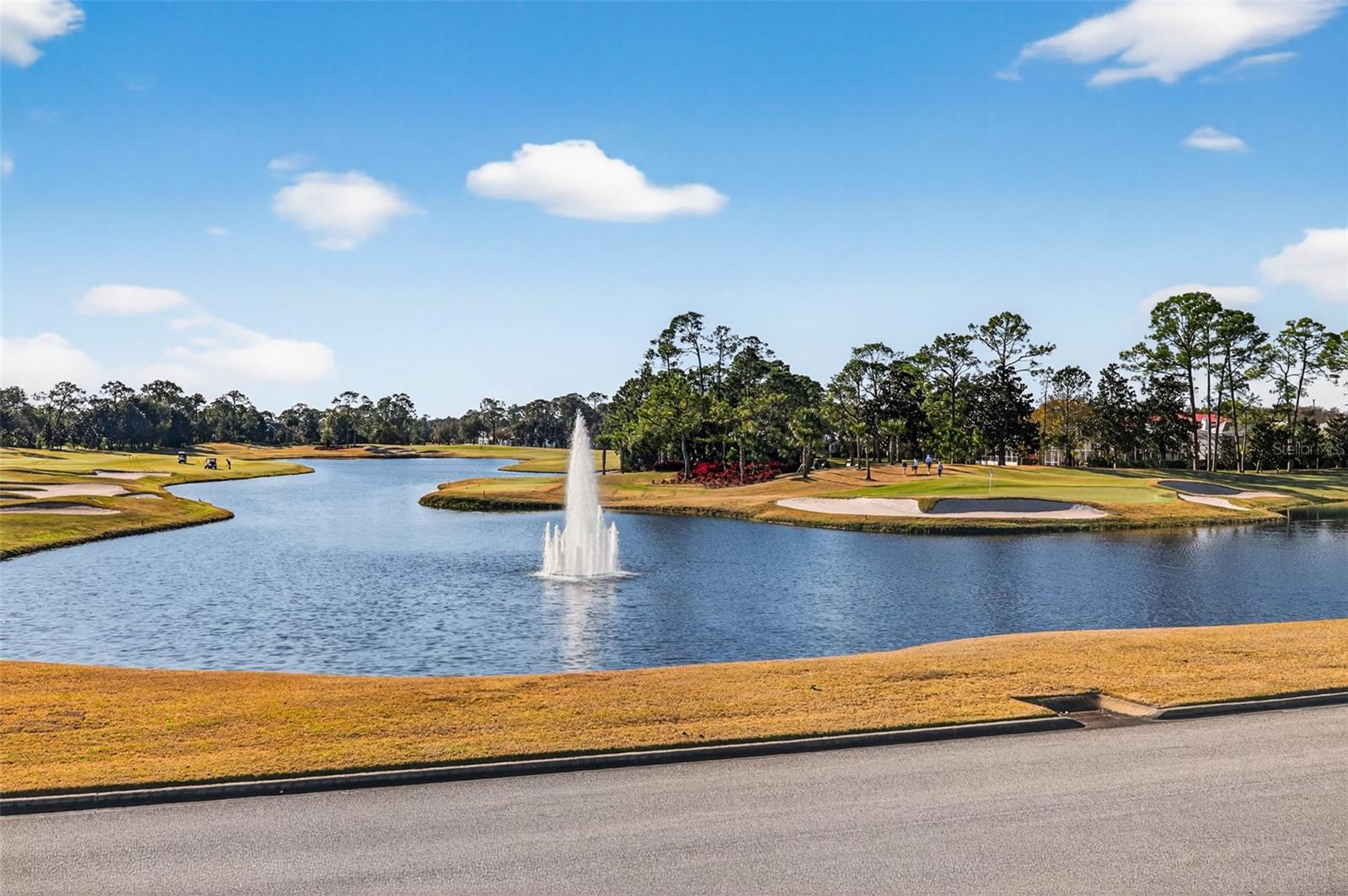 Image 50 of 77 For 1004 Kilkenny Lane