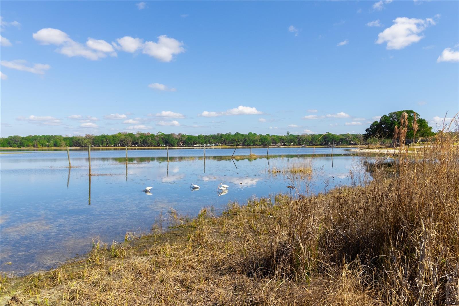 Image 39 of 48 For 13711 247th Court