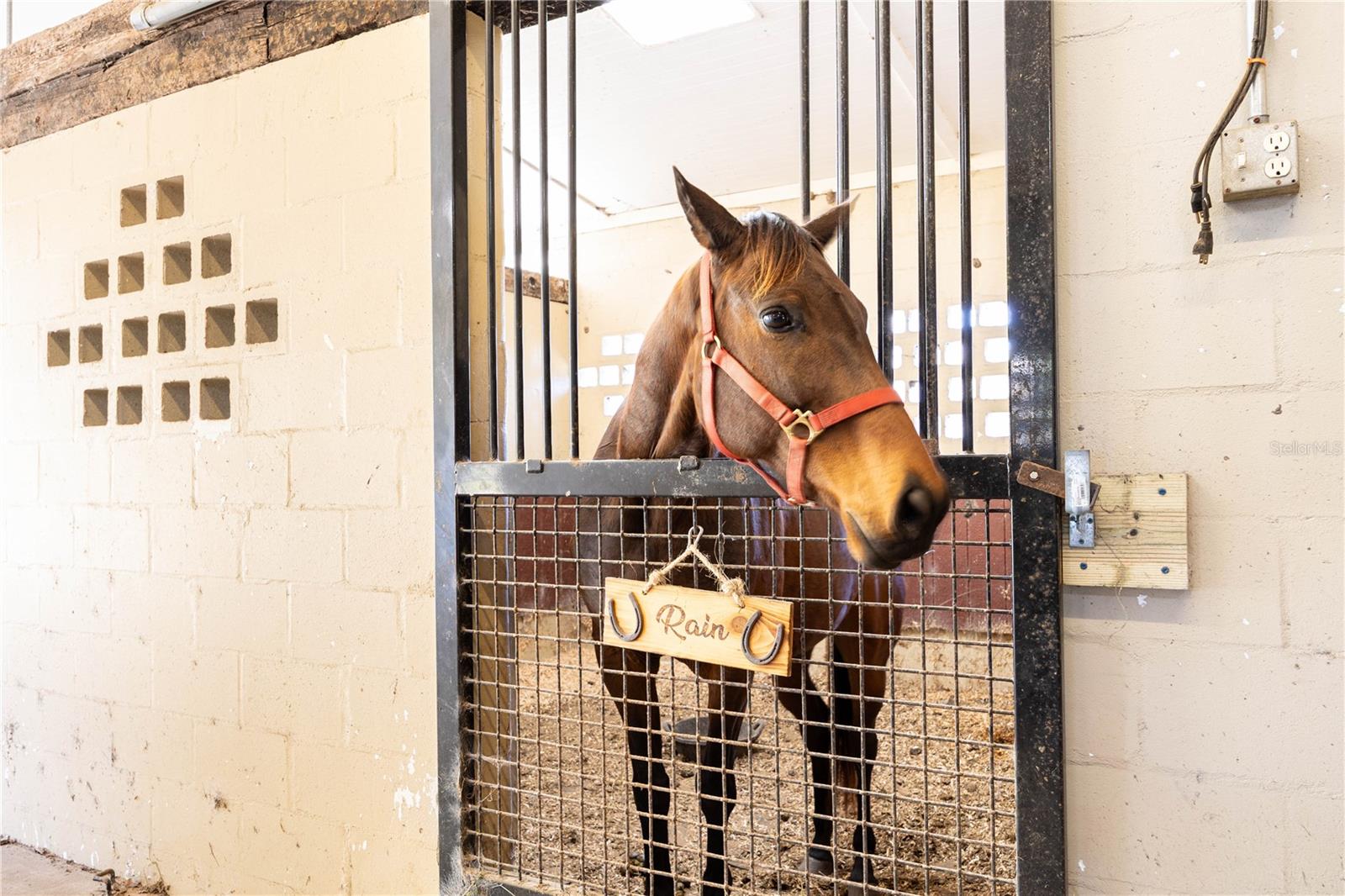 Image 45 of 100 For 10720 53rd Terrace