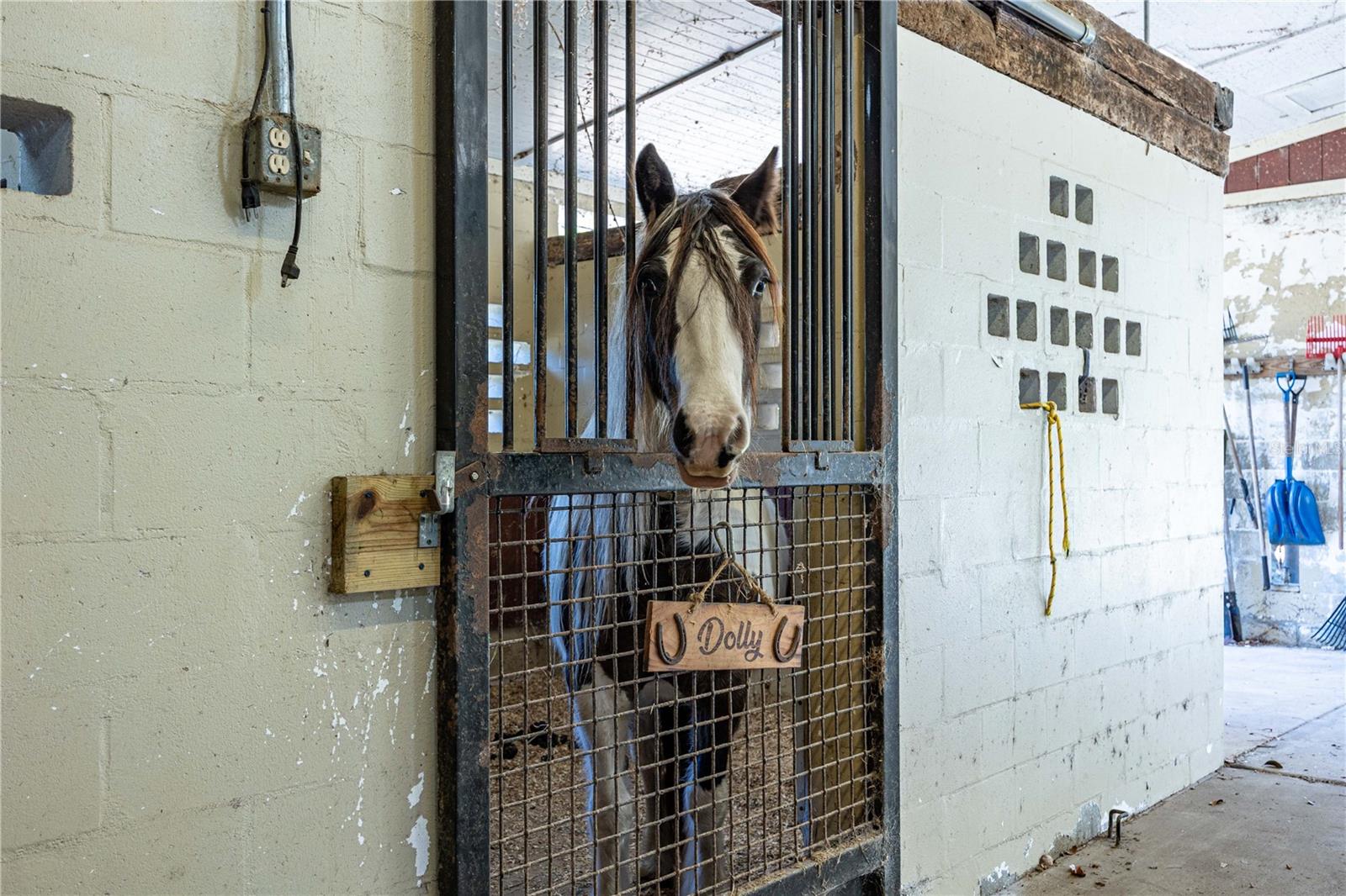 Image 46 of 100 For 10720 53rd Terrace