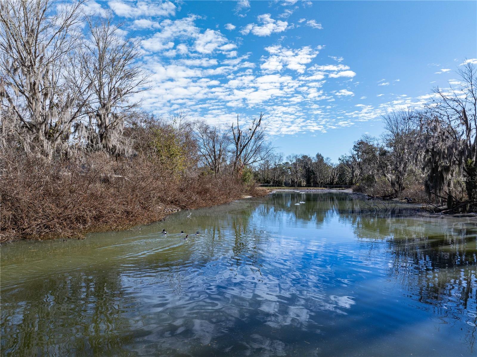 Image 78 of 100 For 10720 53rd Terrace
