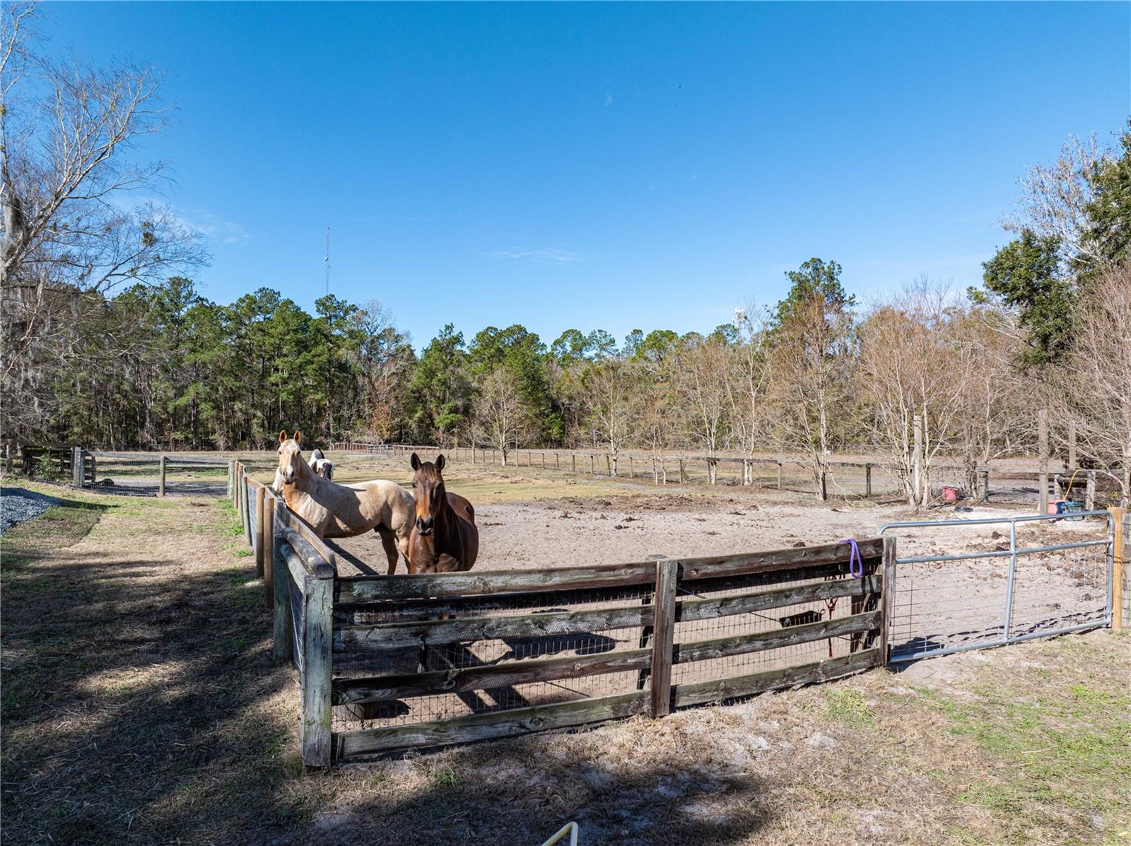 Image 79 of 100 For 10720 53rd Terrace