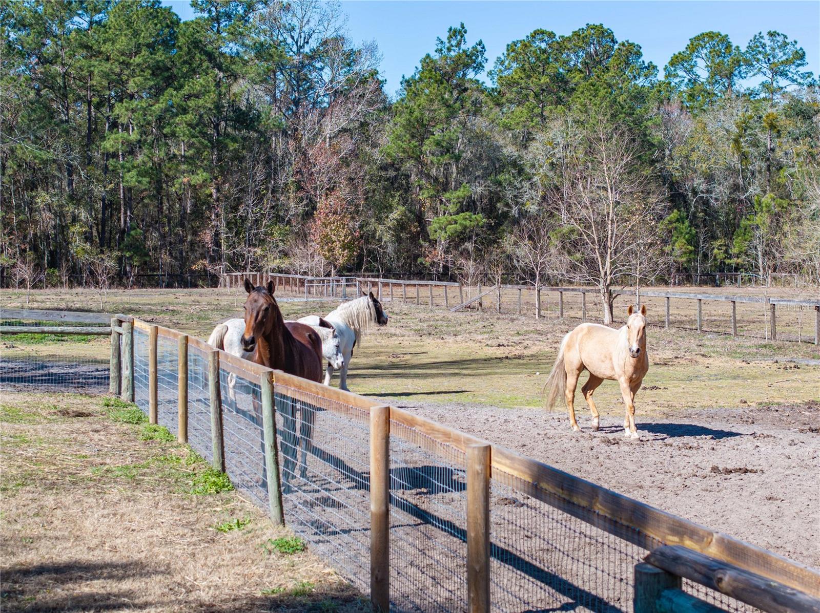 Image 80 of 100 For 10720 53rd Terrace