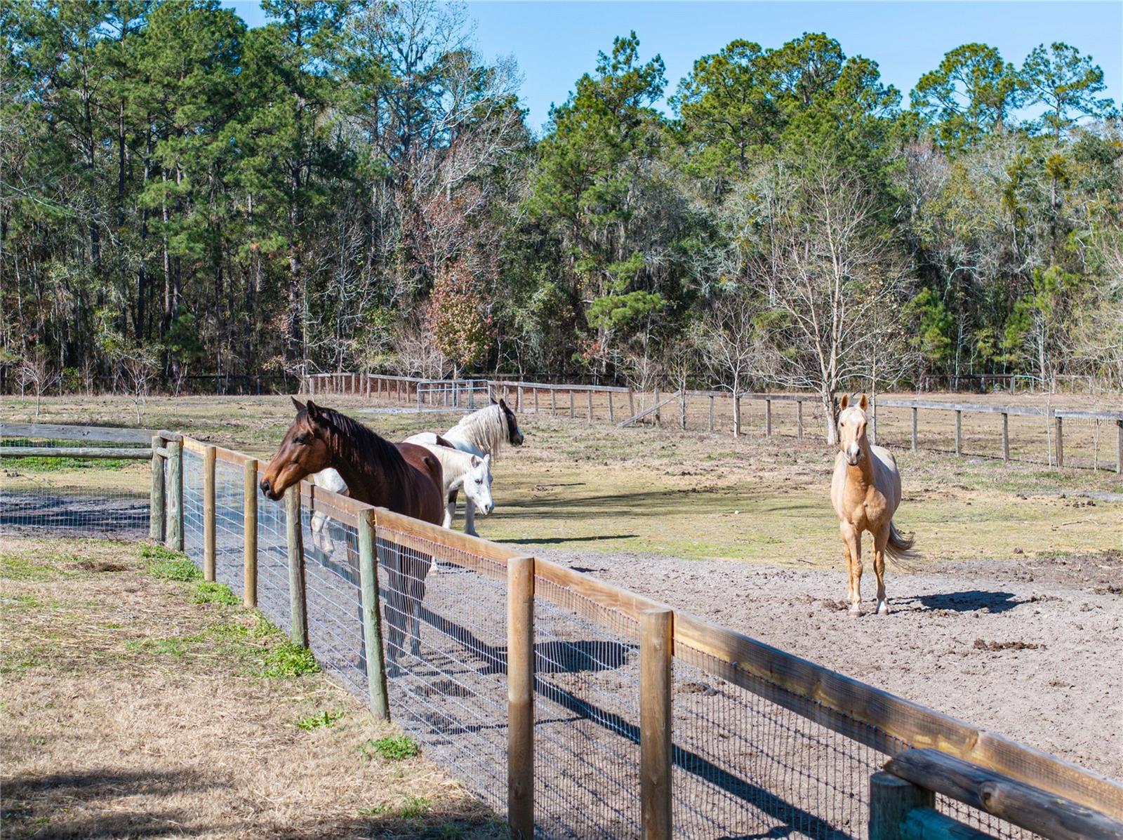 Image 81 of 100 For 10720 53rd Terrace