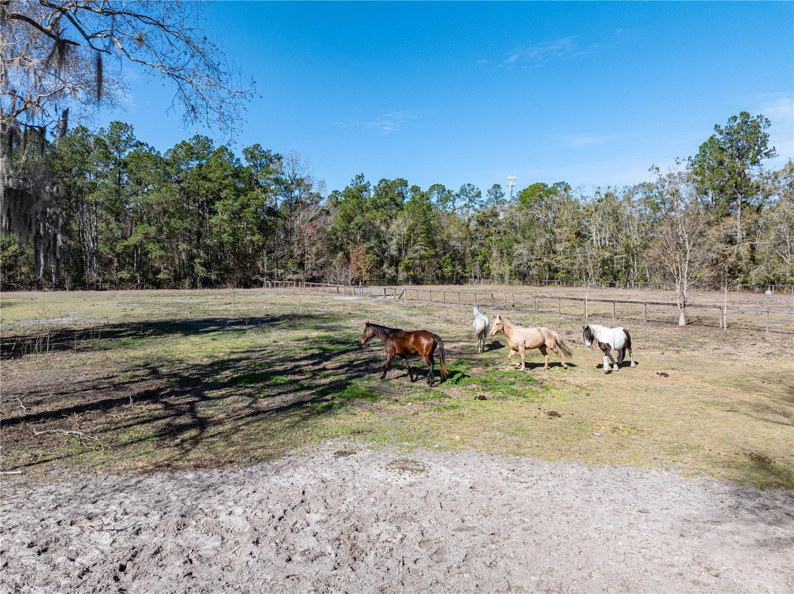 Image 95 of 100 For 10720 53rd Terrace