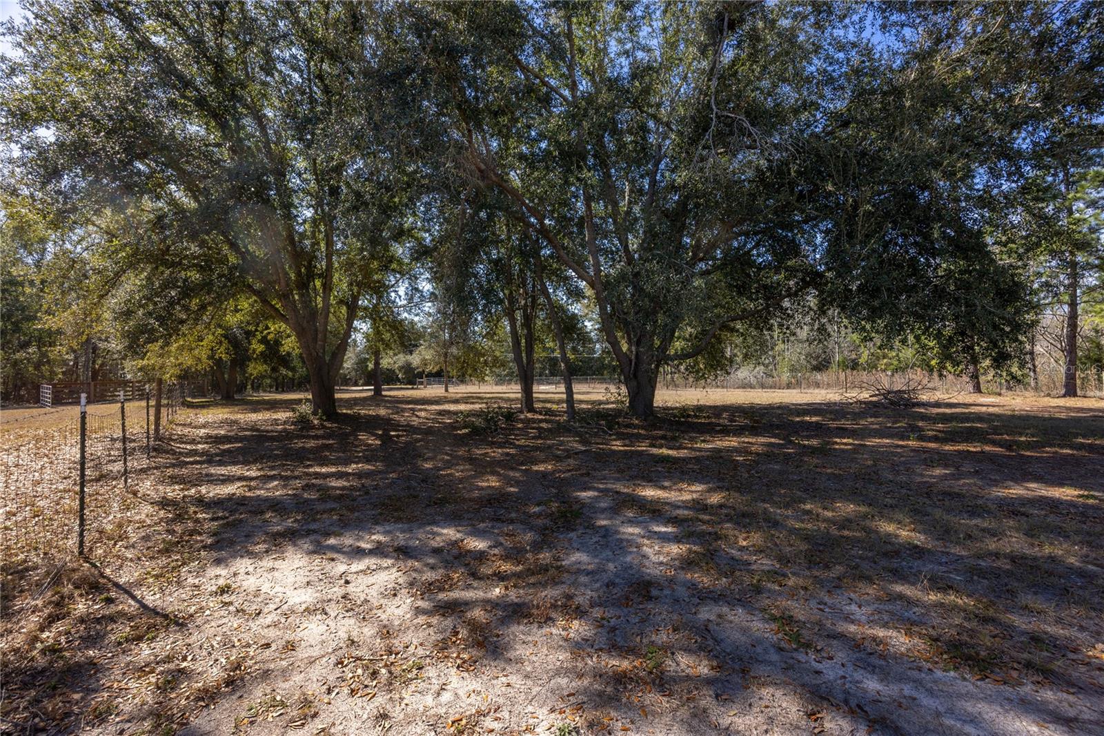 Image 62 of 89 For 12456 155th Place