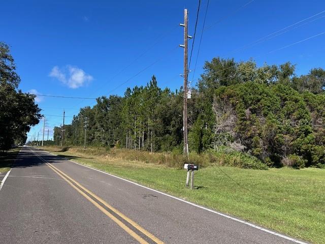 Image 17 of 21 For Tbd Us Hwy 19 (n Young Blvd)