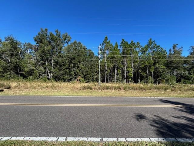 Image 18 of 21 For Tbd Us Hwy 19 (n Young Blvd)