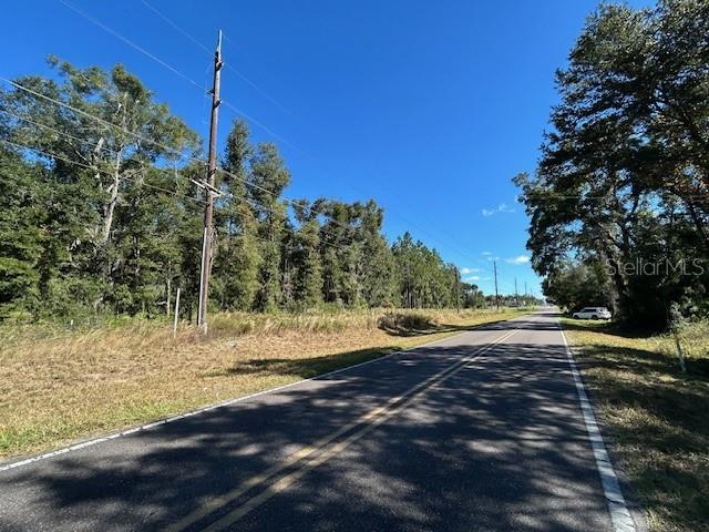 Image 19 of 21 For Tbd Us Hwy 19 (n Young Blvd)