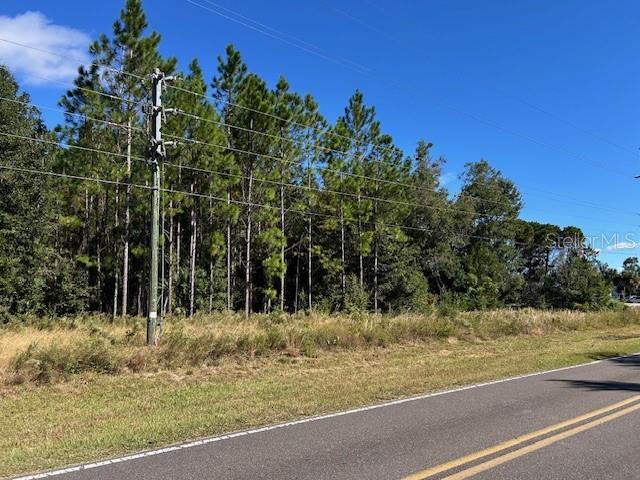 Image 20 of 21 For Tbd Us Hwy 19 (n Young Blvd)