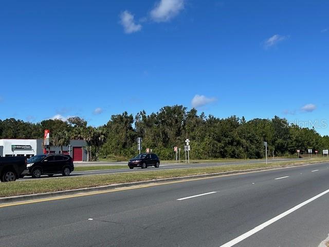 Image 4 of 21 For Tbd Us Hwy 19 (n Young Blvd)