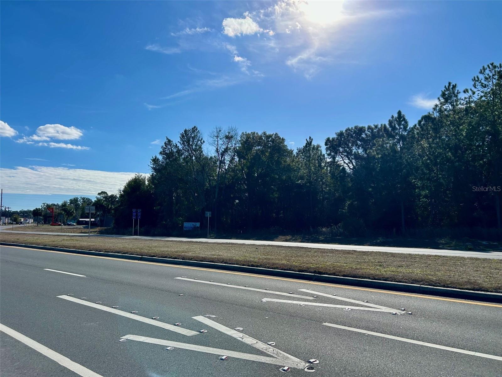 Image 9 of 21 For Tbd Us Hwy 19 (n Young Blvd)