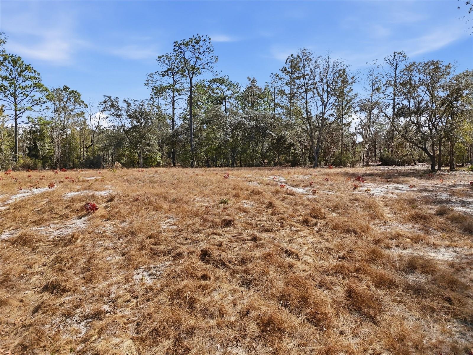 Image 10 of 11 For 00 78th Terrace