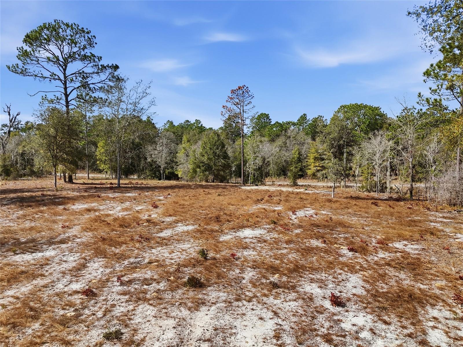 Image 9 of 11 For 00 78th Terrace