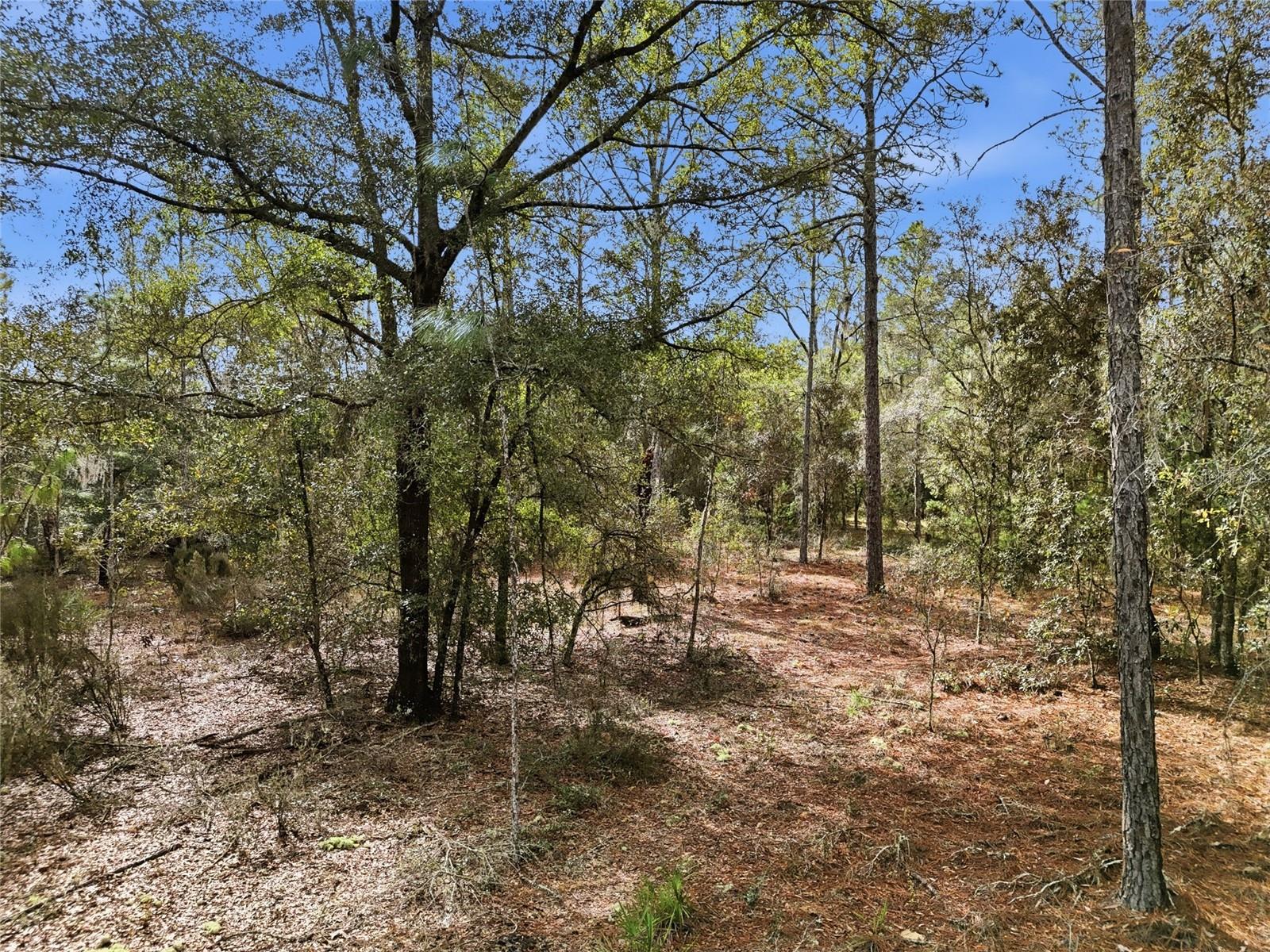 Image 10 of 13 For 00 111th Lane