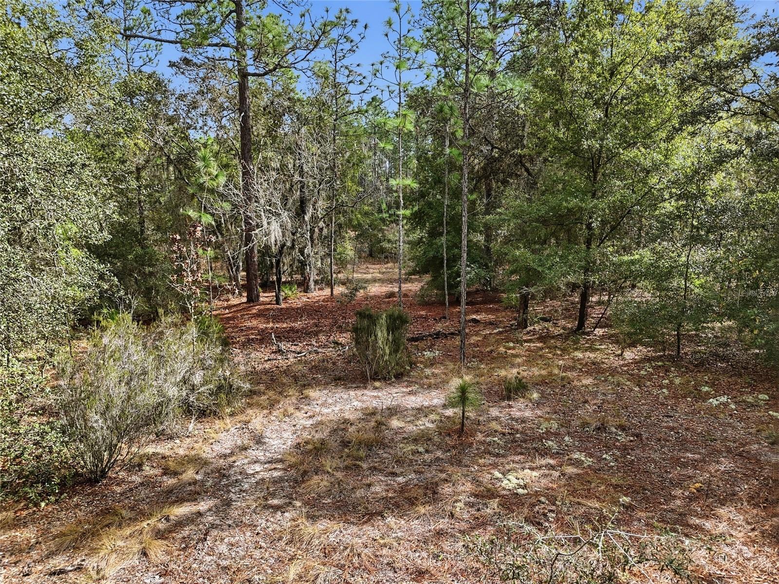 Image 11 of 13 For 00 111th Lane