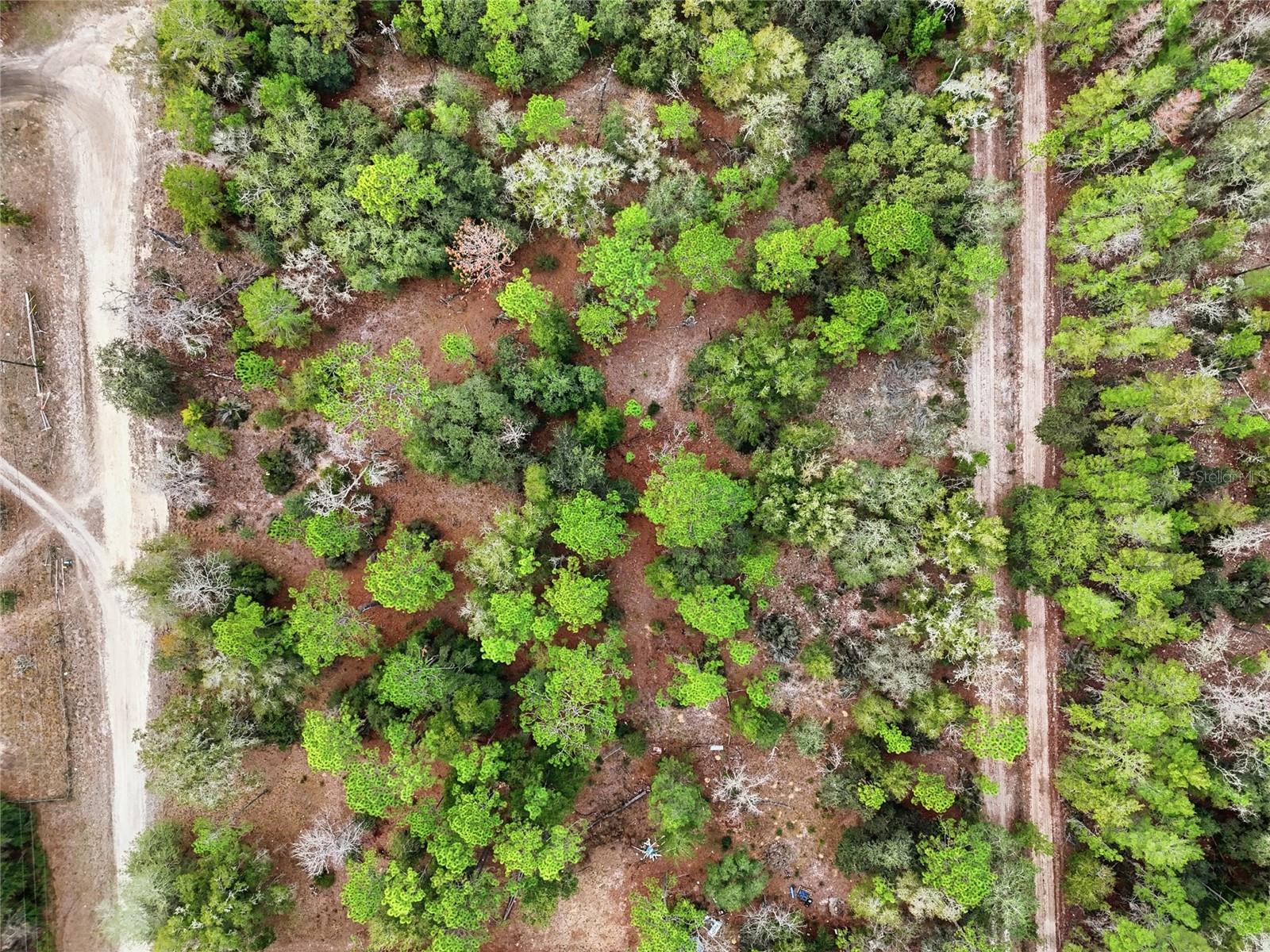 Image 6 of 13 For 00 111th Lane