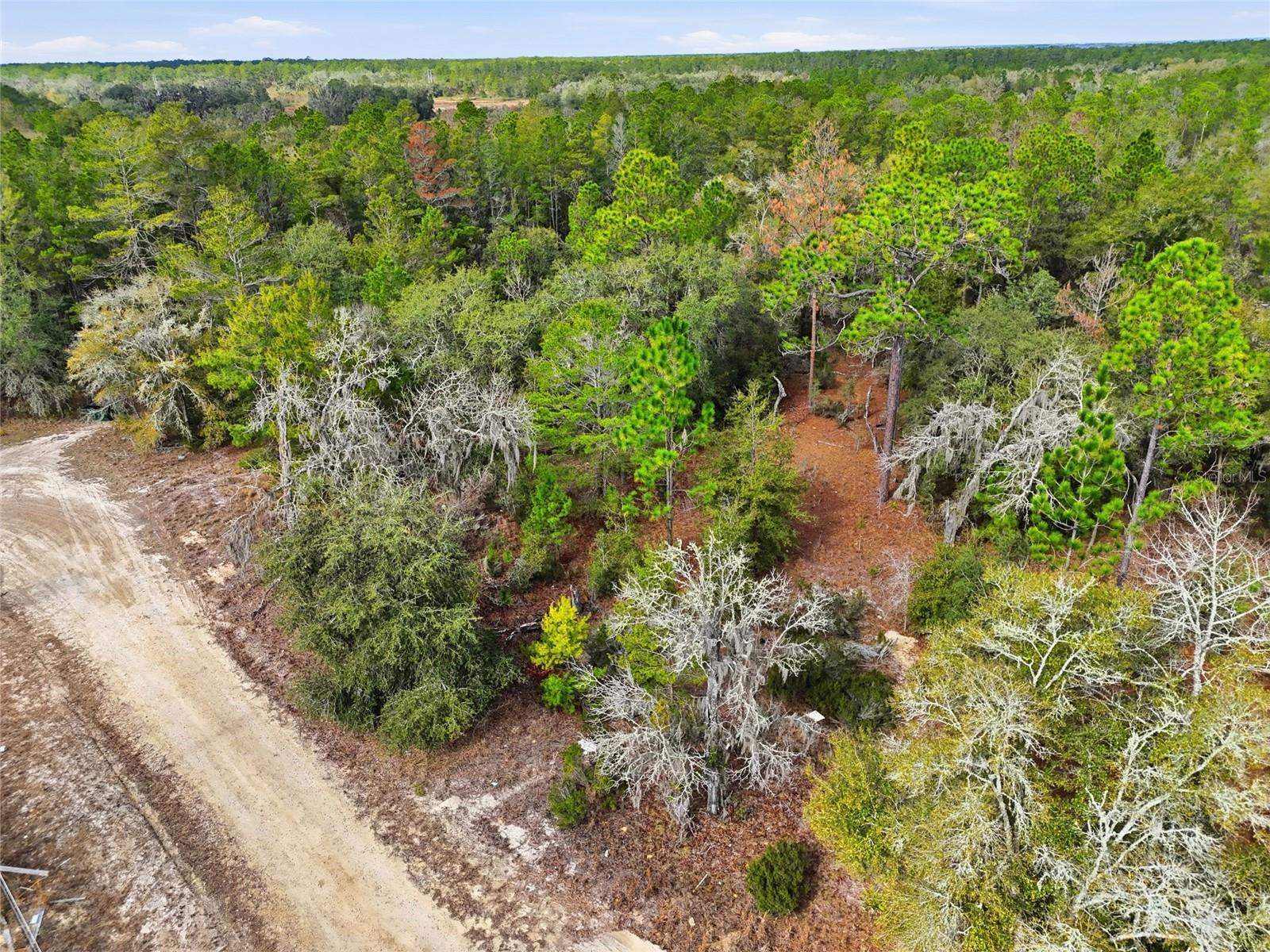 Image 7 of 13 For 00 111th Lane