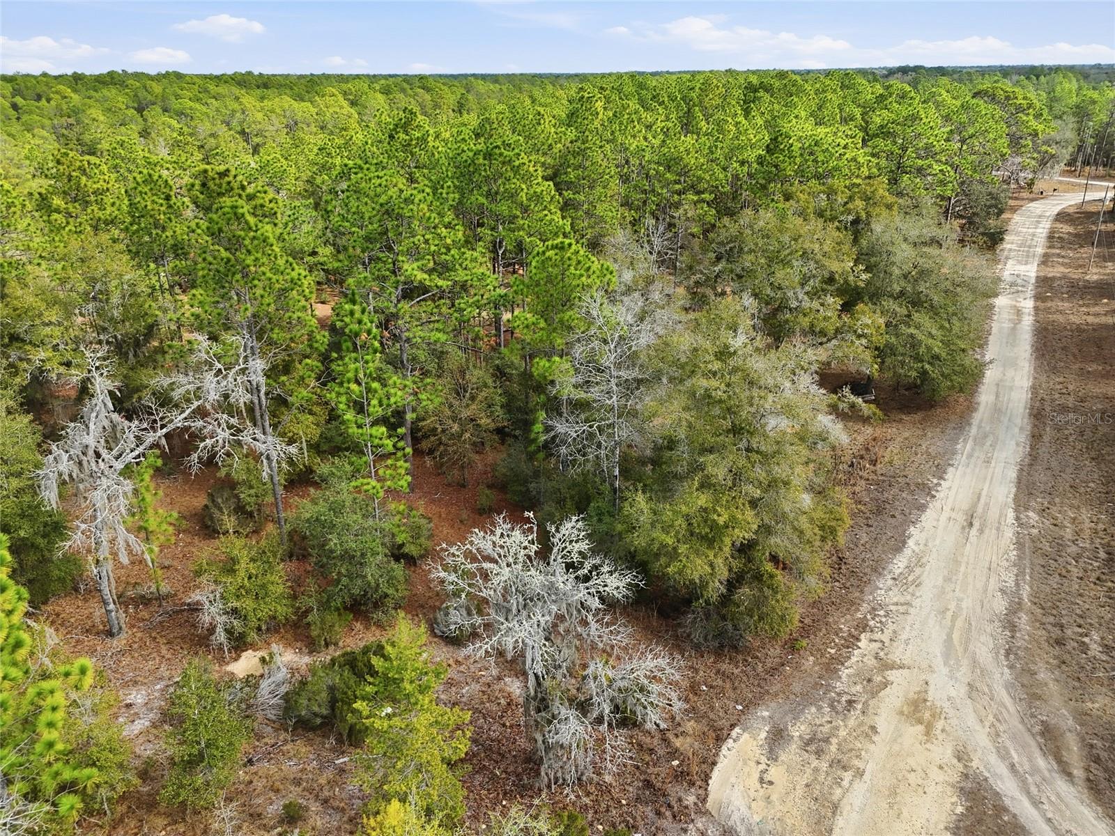 Image 8 of 13 For 00 111th Lane