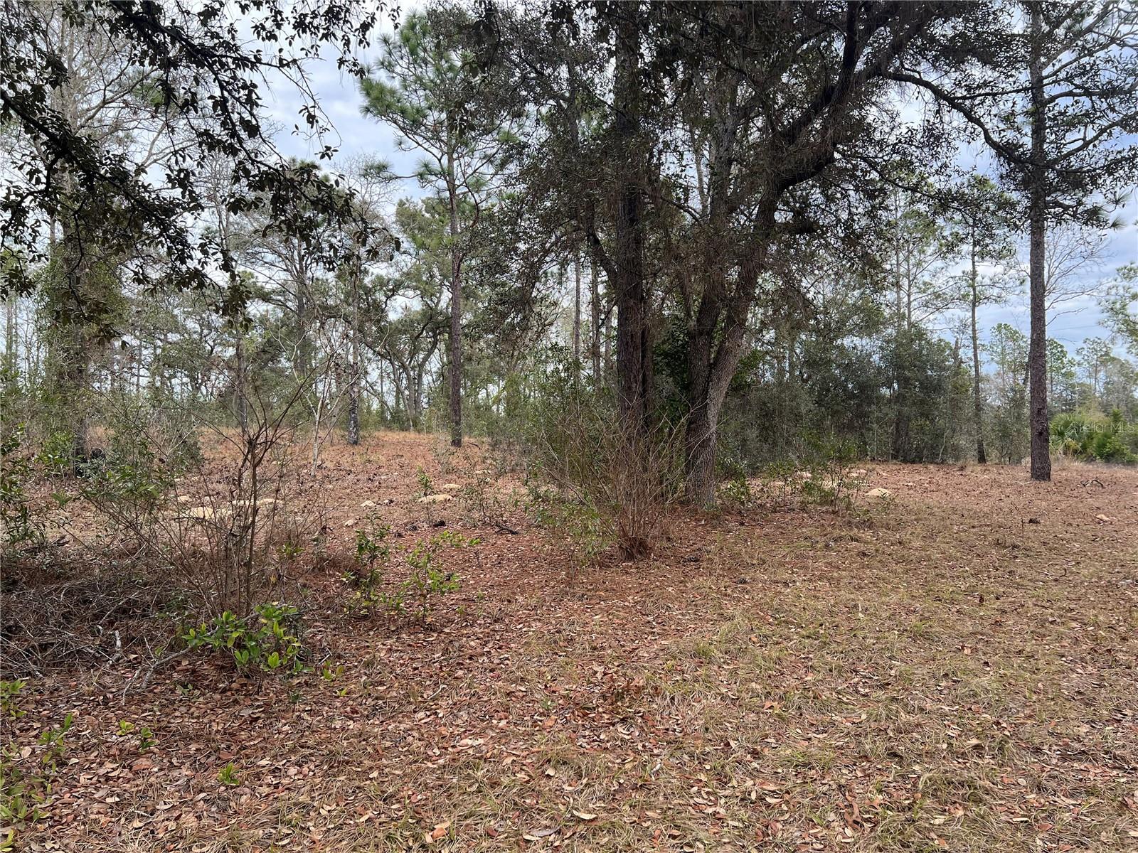 Listing photo id 9 for 20140 27th Street