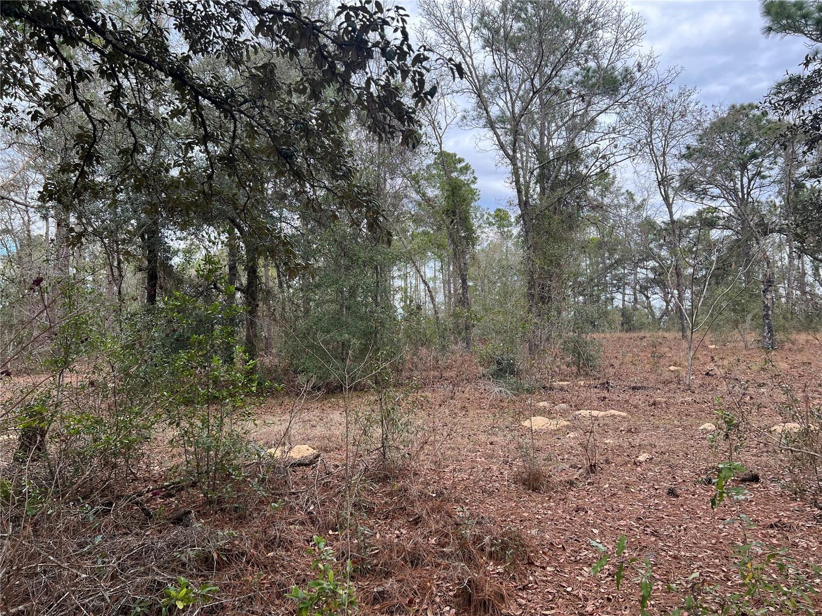 Listing photo id 10 for 20140 27th Street